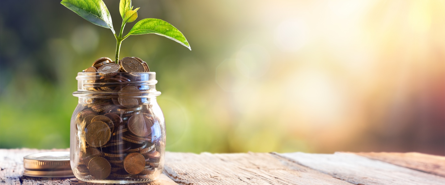 jar filled with coins on a wooden deck with a plant growing out of it